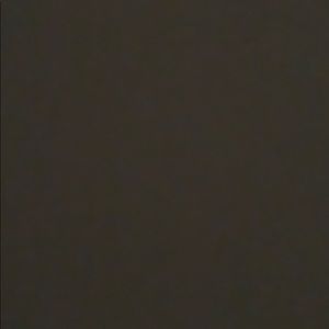 Meet your Posher, Vincent